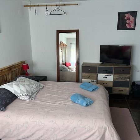 Proprietaire Prive Bed and Breakfast Carcassonne Exteriör bild
